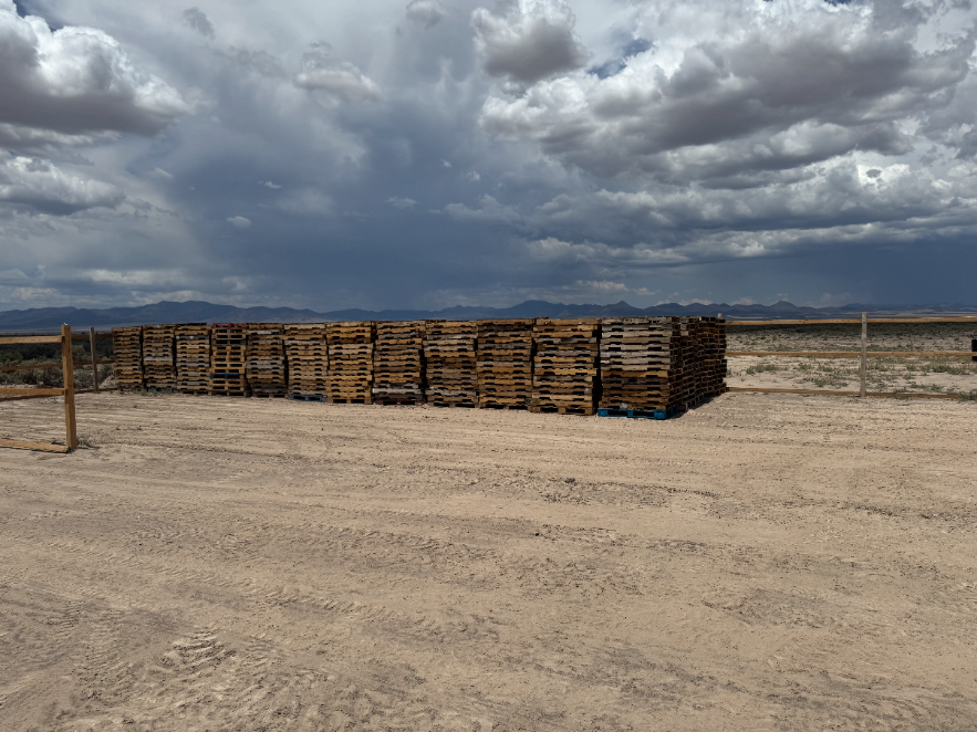 Rows of pallets stacked across the GotWoodPalletCo yard